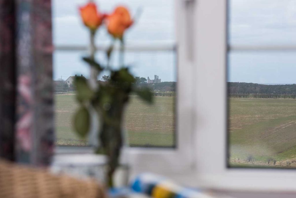 Proctors Stead Self-catering Cottages